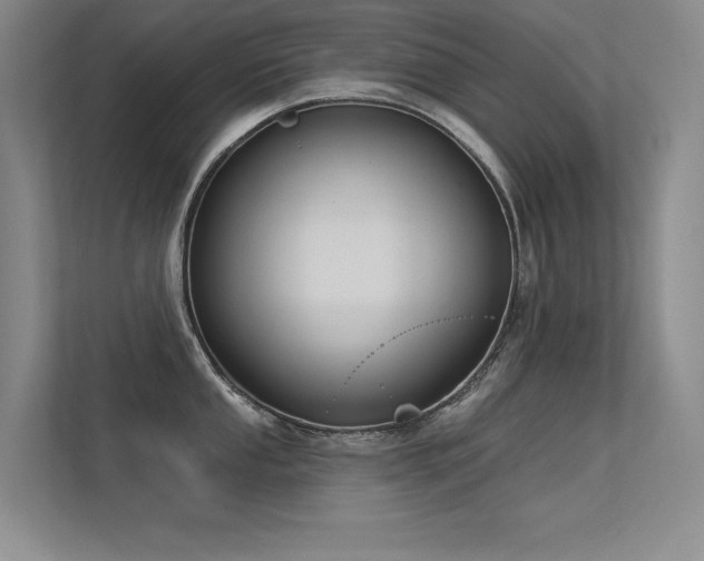 X0000113361053200909151231