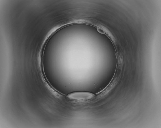 X0000113361054200909151231
