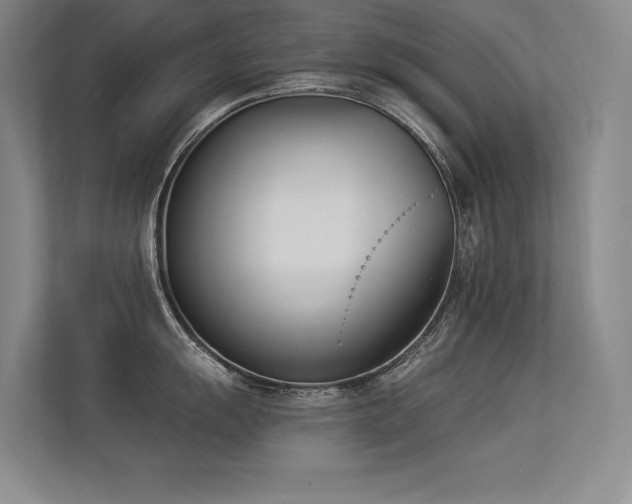 X0000113361055200909151231