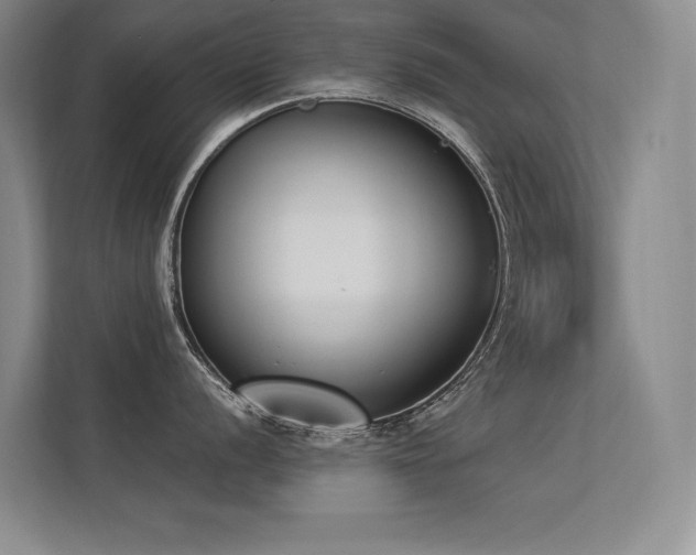 X0000113361056200909151231