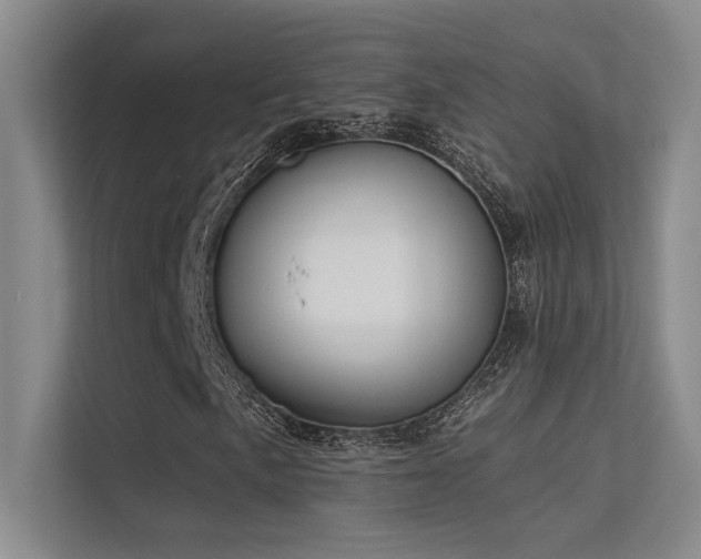 X0000113361057200909151231
