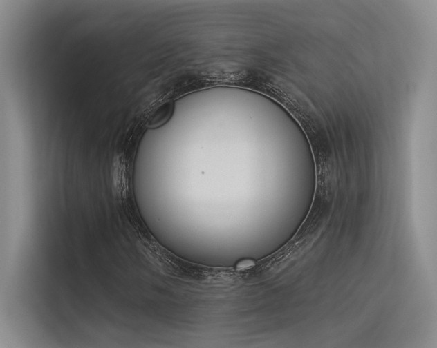 X0000113361058200909151231