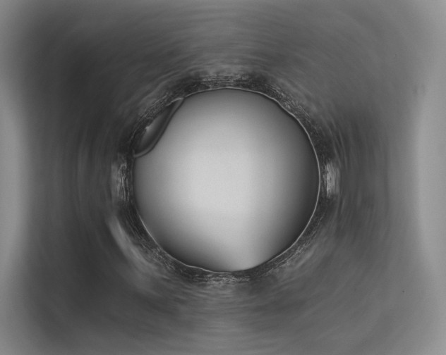 X0000113361059200909151231