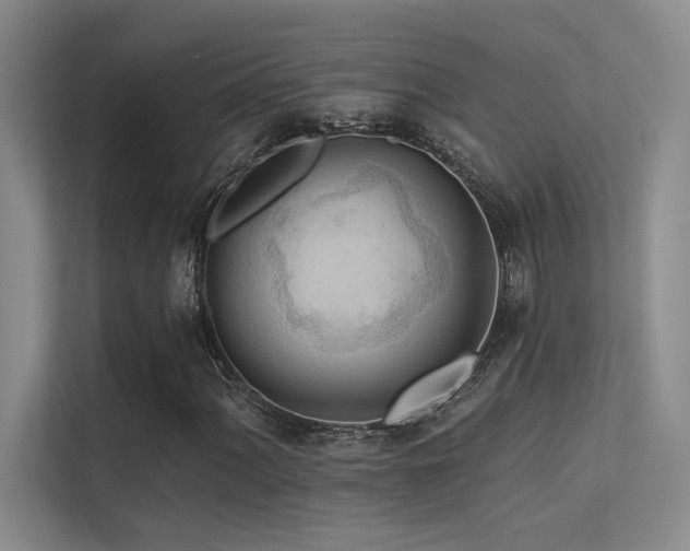 X0000113361060200909151231