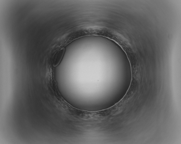X0000113361061200909151231