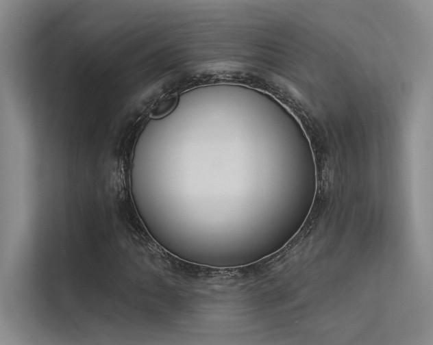 X0000113361062200909151231