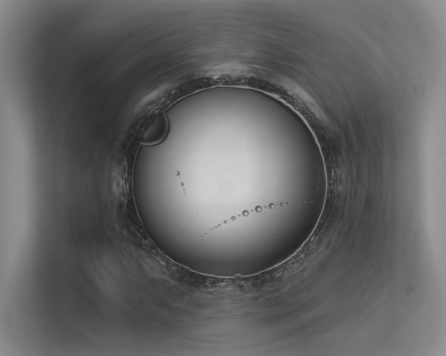 X0000113361063200909151231