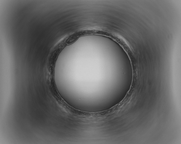 X0000113361064200909151231