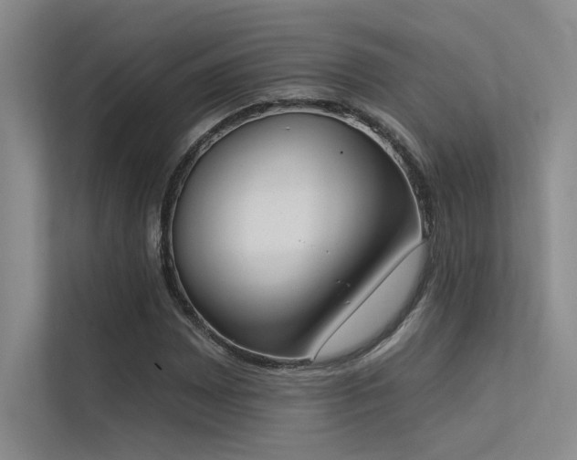 X0000113361065200909151231