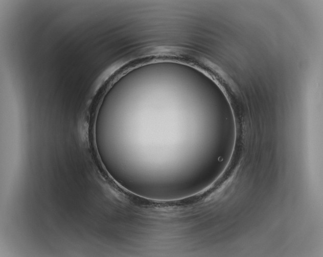X0000113361066200909151231