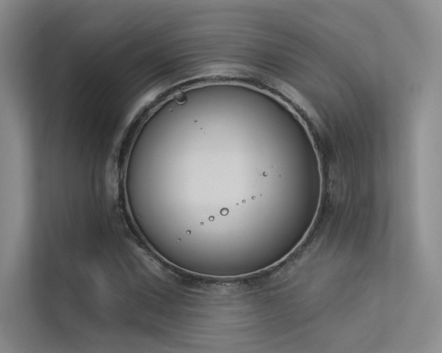 X0000113361067200909151231