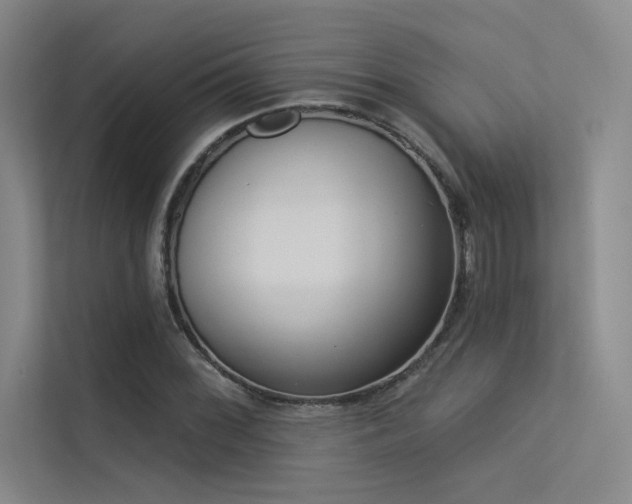 X0000113361068200909151231