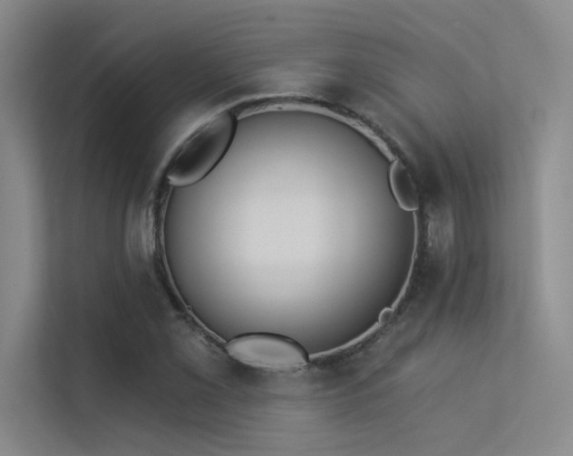 X0000113361069200909151231