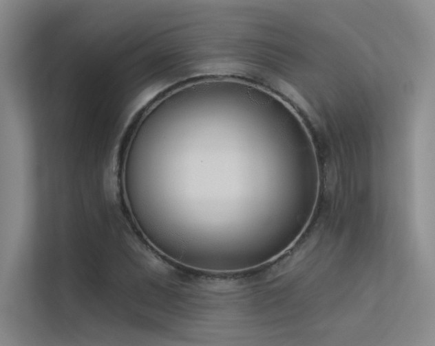 X0000113361071200909151231