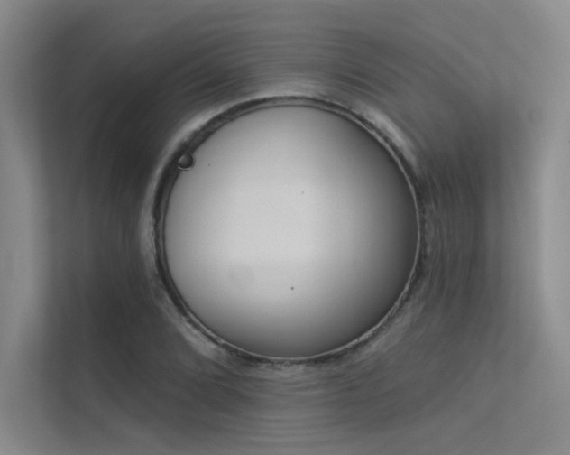 X0000113361072200909151230