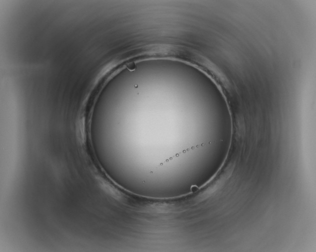 X0000113361075200909151230