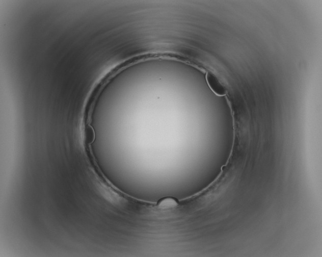 X0000113361076200909151230