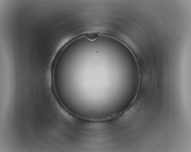 X0000113361079200909151230