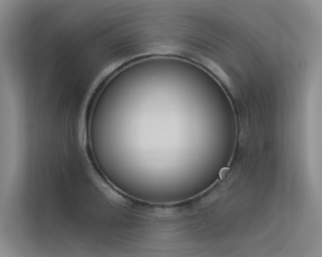X0000113361080200909151230