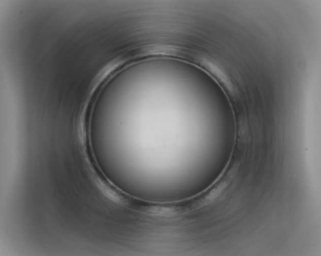 X0000113361082200909151230
