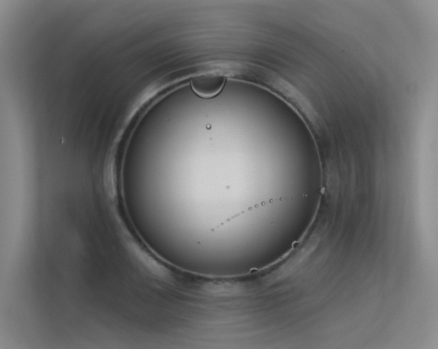 X0000113361083200909151230