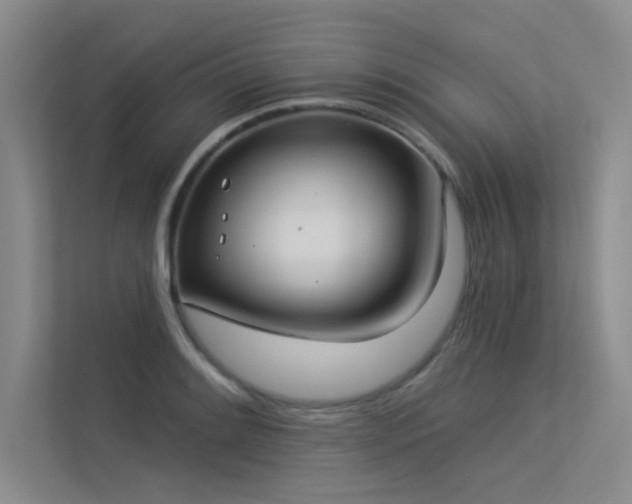 X0000113361084200909151230