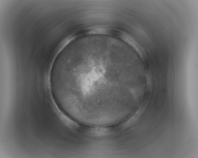 X0000113361090200909151230