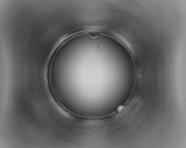 X0000113361091200909151230