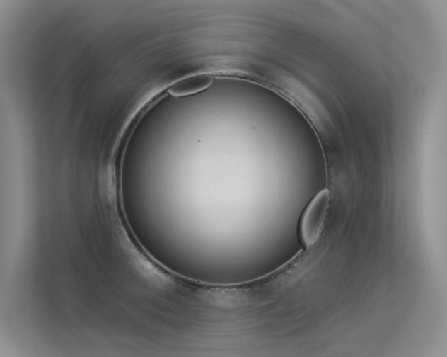 X0000113361092200909151230