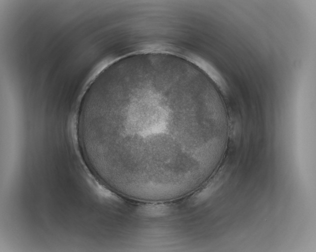 X0000113361094200909151230