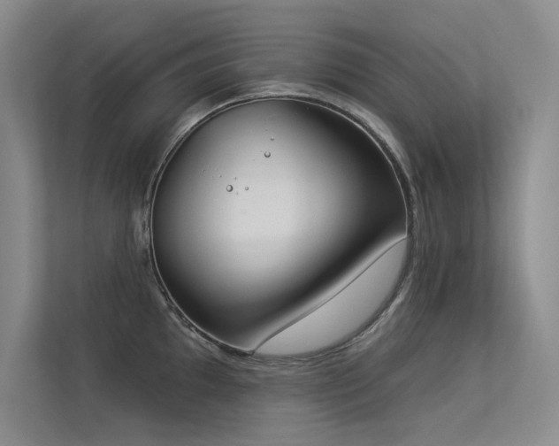 X0000113361097200909151230
