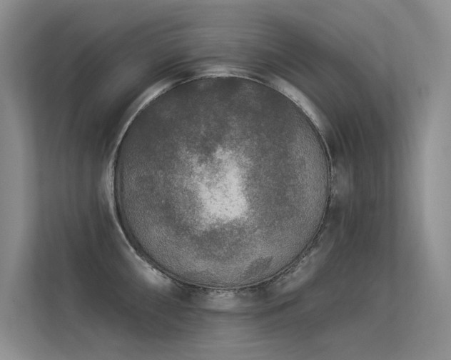 X0000113361098200909151230