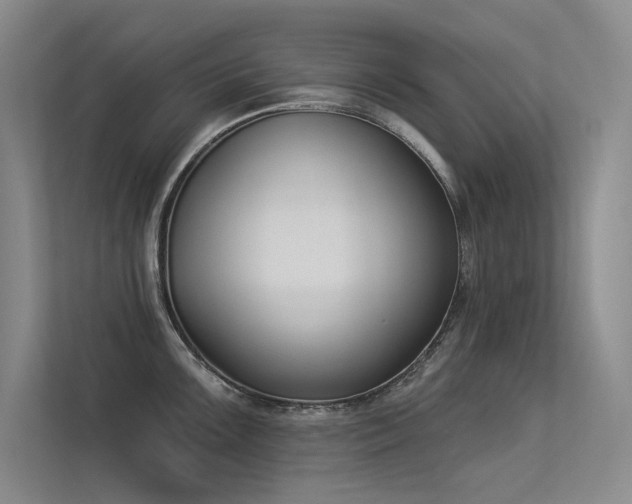 X0000113361099200909151230