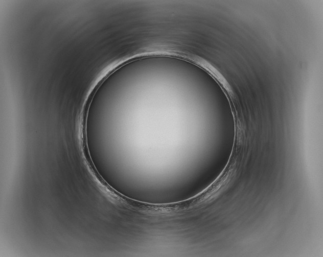 X0000113361101200909151230
