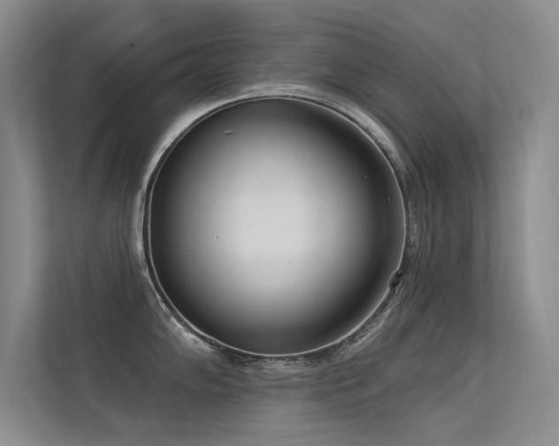 X0000113361102200909151230