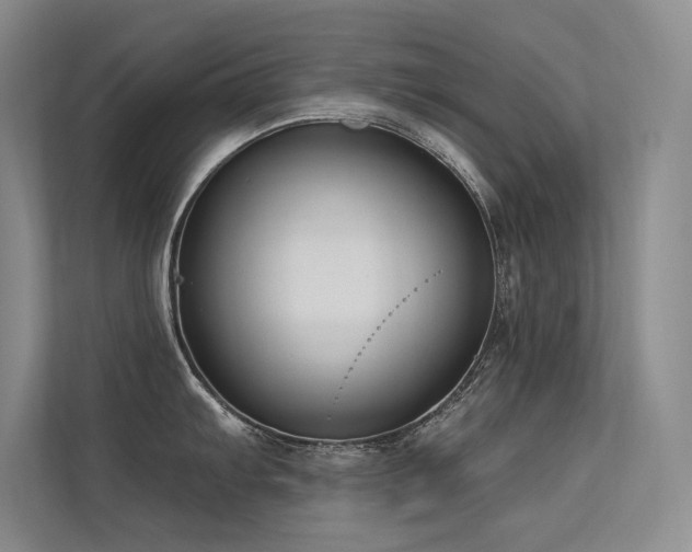 X0000113361103200909151230