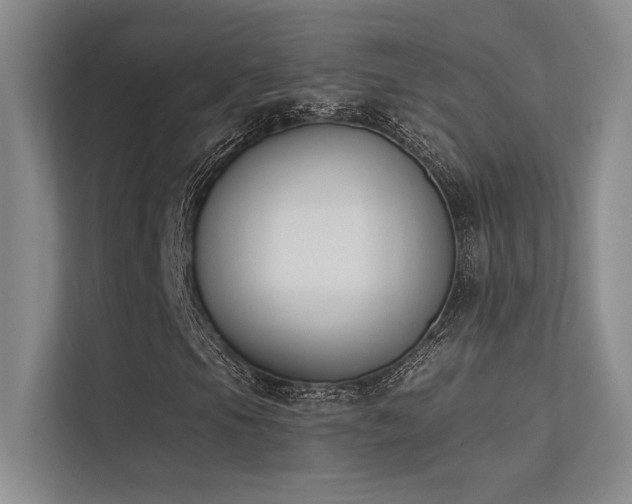 X0000113361105200909151229