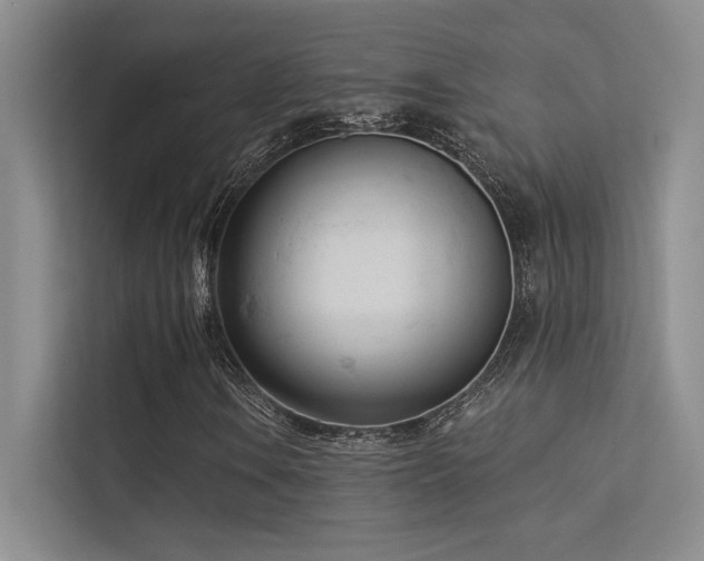 X0000113361106200909151229
