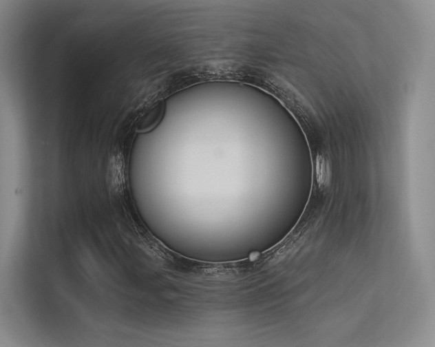 X0000113361107200909151229