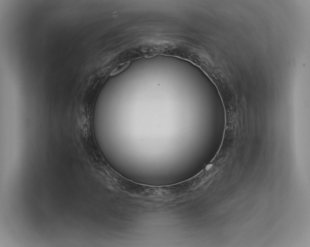 X0000113361109200909151230