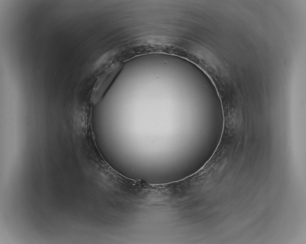 X0000113361110200909151230