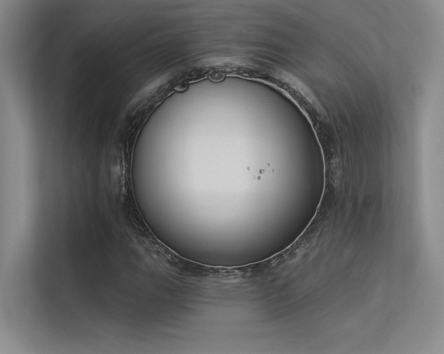 X0000113361111200909151230