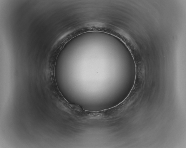 X0000113361112200909151230