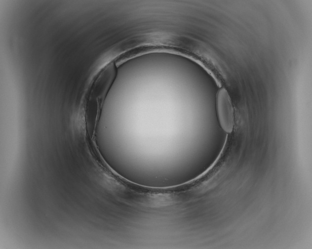 X0000113361114200909151230