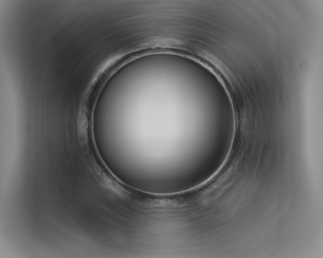 X0000113361115200909151230