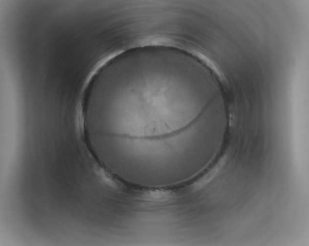 X0000113361117200909151230