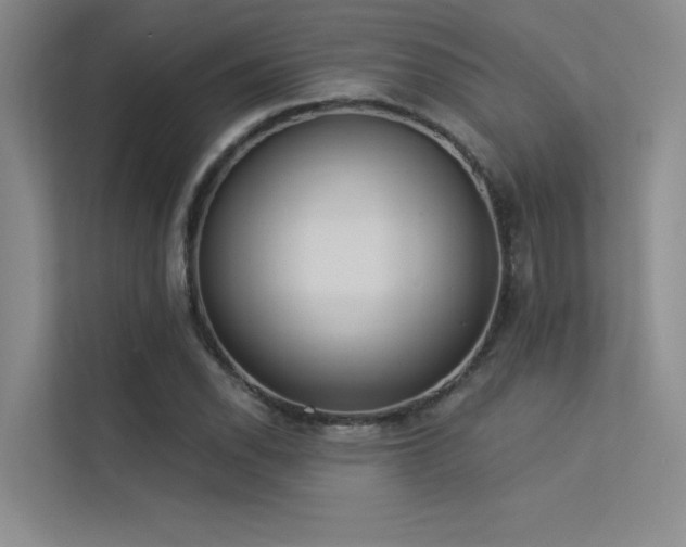 X0000113361118200909151230