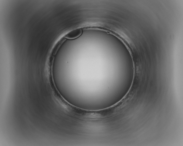 X0000113361119200909151230
