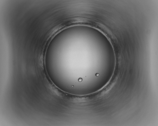 X0000113361121200909151230