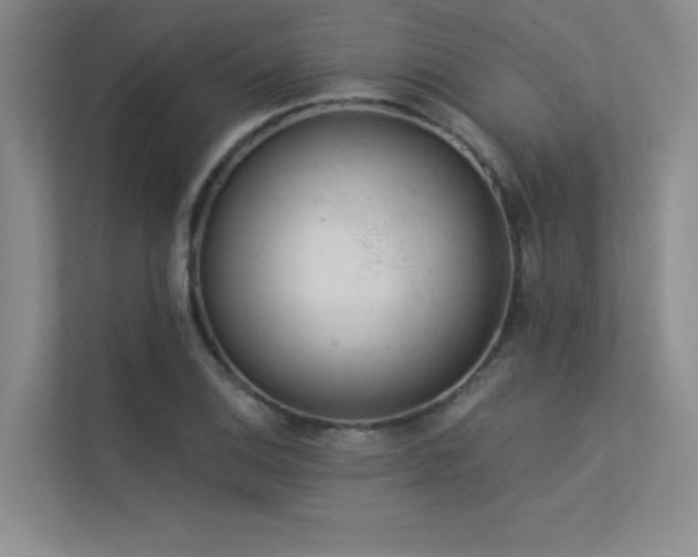 X0000113361124200909151230